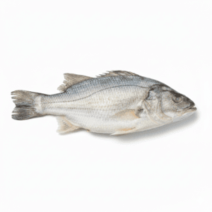 FROZEN CROAKER FISH 10LB (Order separately)