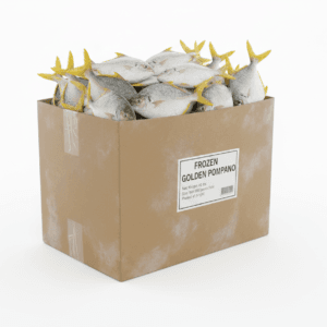 GOLDEN POMPANO 40LBS (order separately)