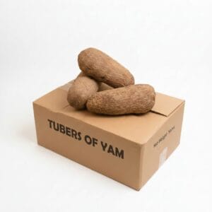 TUBERS OF YAM