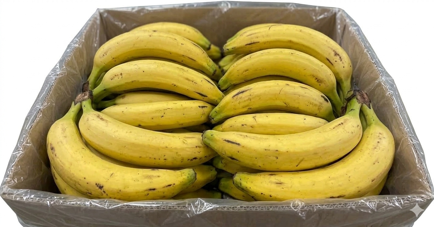 DOLE FRESH PLANTAIN -50LBS - Image 2