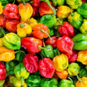 HABANERO PEPPER.