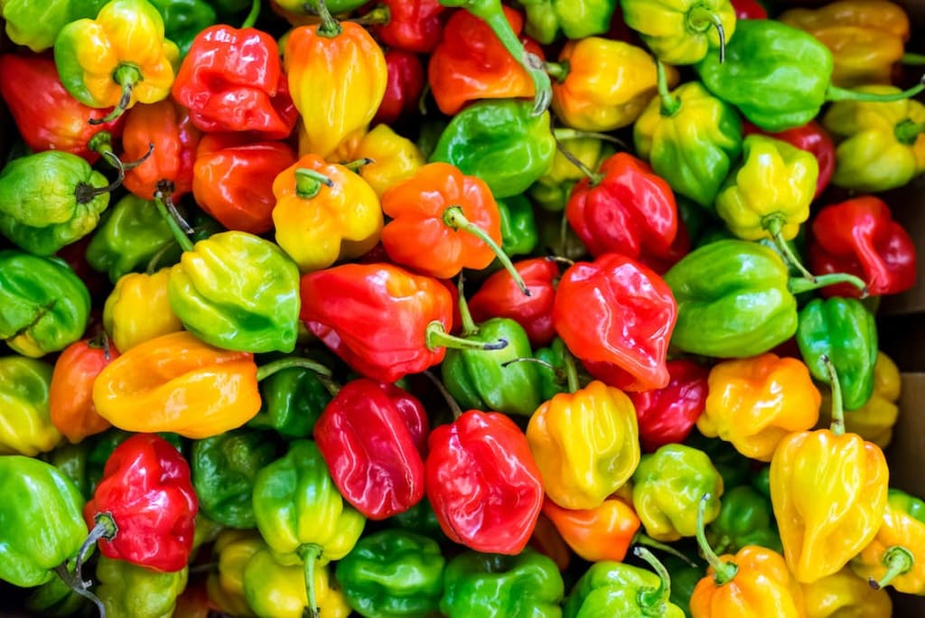 habanero-pepper